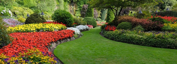 giardino-estivo-giardinaggio