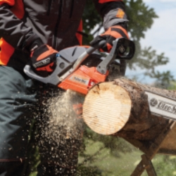 Taglio e Lavorazione del legno