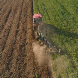 Lavorazione e cura del Terreno