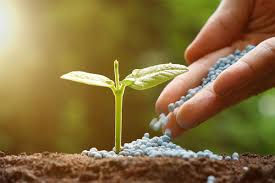 Concimi, Sementi e Ammendanti