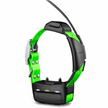 Collare Garmin KT15 addestramento