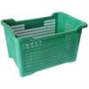 nR. 20 Cassette per Olive - Casse agricole per Raccolta Olive