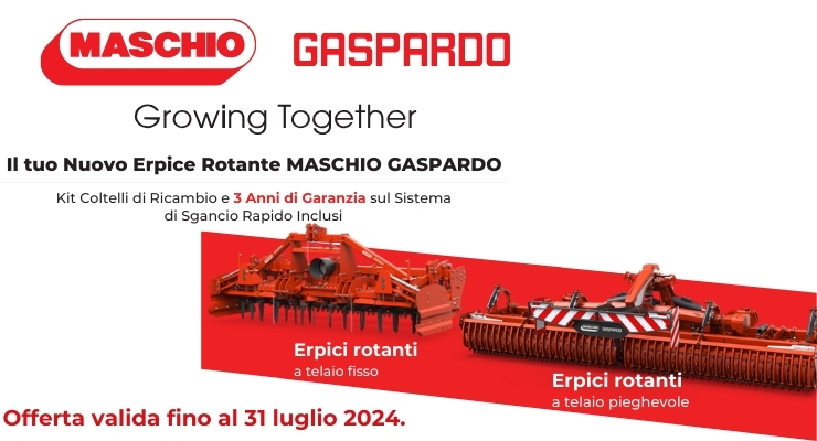 offerta-garanzia-maschio