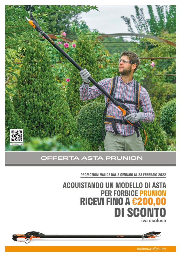 offerta_asta_prunion